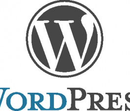 Maîtrise Wordpress : Concevoir un site internet
